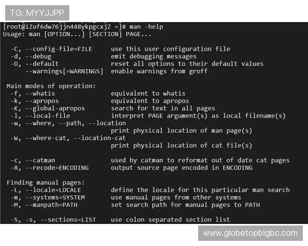 金年会官方下载：使用前必须了解的系统要求与安装步骤