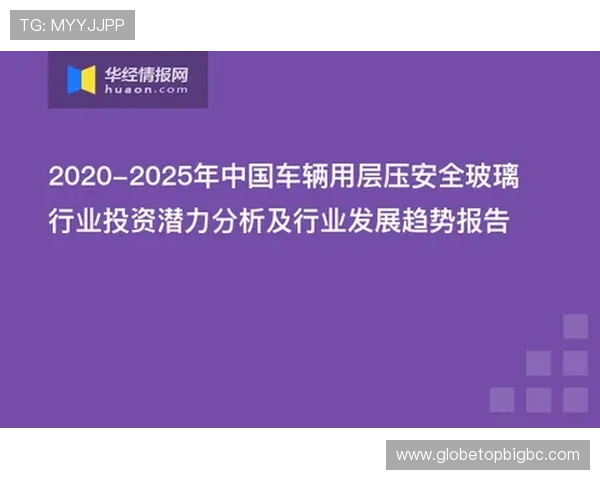 俄罗斯娱乐ag视讯如何保障玩家资金安全,专业安全措施解析 俄罗斯娱乐ag视讯如何保障玩家资金安全,专业安全措施解析